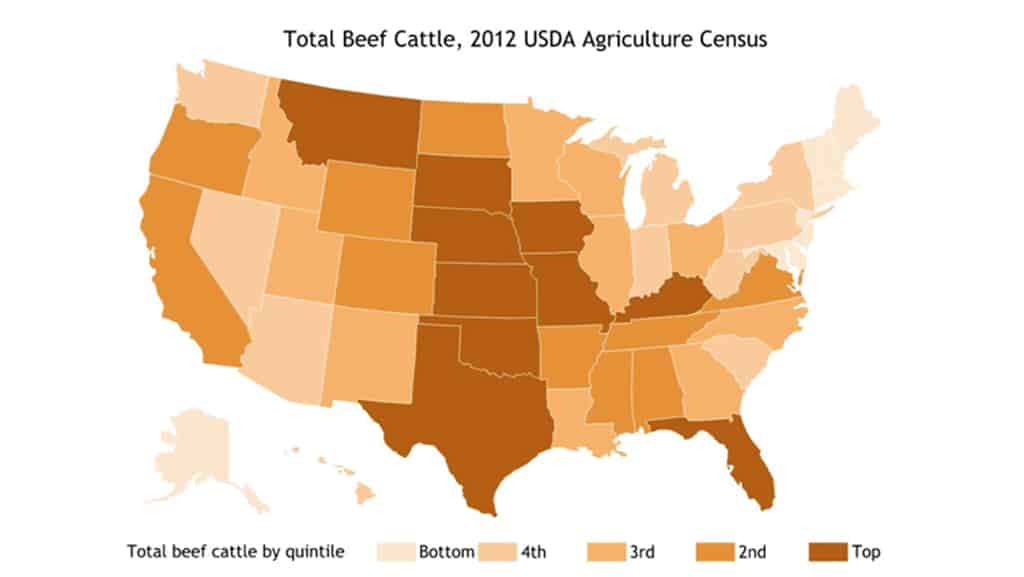  刘裘蒂：美国牛肉去哪儿了？