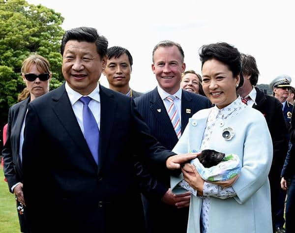  王逸舟：如何理解习大大“升级版大国外交”