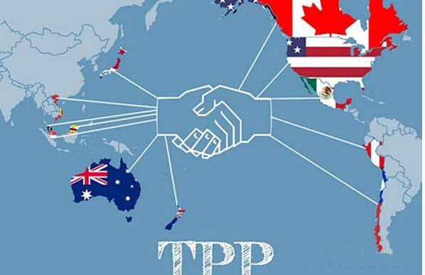  TPP和入世不是一回事