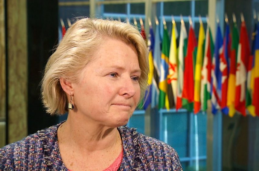  专访董云裳：展望明年中美元首外交