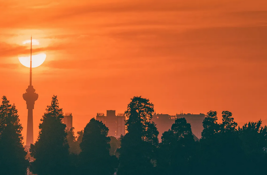  专访Jeremy Wallace：中国新能源革命虽混乱但或拯救世界